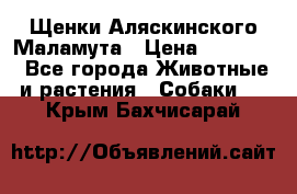 Щенки Аляскинского Маламута › Цена ­ 10 000 - Все города Животные и растения » Собаки   . Крым,Бахчисарай